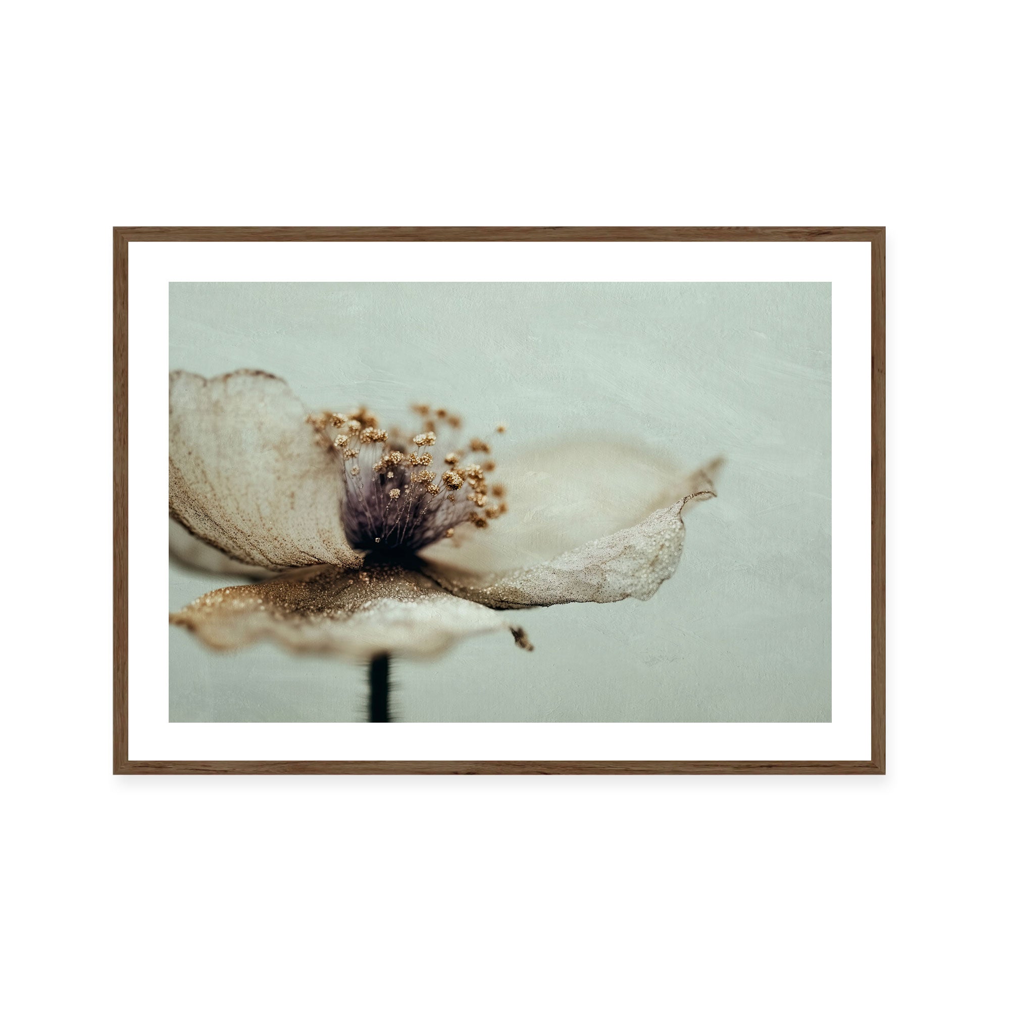 Memory Bloom Bloom Memory No2 – ArtHouse Co