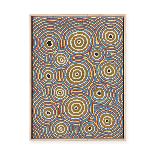 Janganpa Jukurrpa (Brush-tail  Possum Dreaming) Mawurrji No.3 | Framed Canvas Print