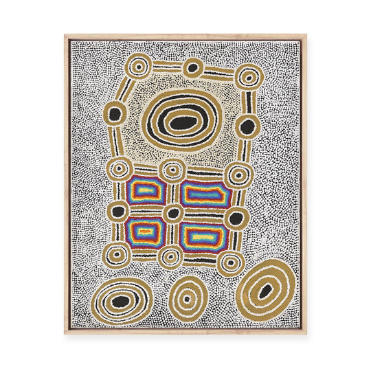 Janganpa Jukurrpa (Brush-tail  Possum Dreaming) Mawurrji No.4 | Framed Canvas Print