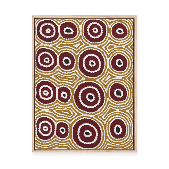 Janganpa Jukurrpa (Brush-tail  Possum Dreaming) Mawurrji No.5 | Framed Canvas Print
