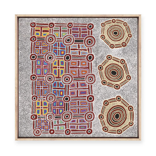 Janganpa Jukurrpa (Brush-tail  Possum Dreaming) Mawurrji No.1 | Framed Canvas Print