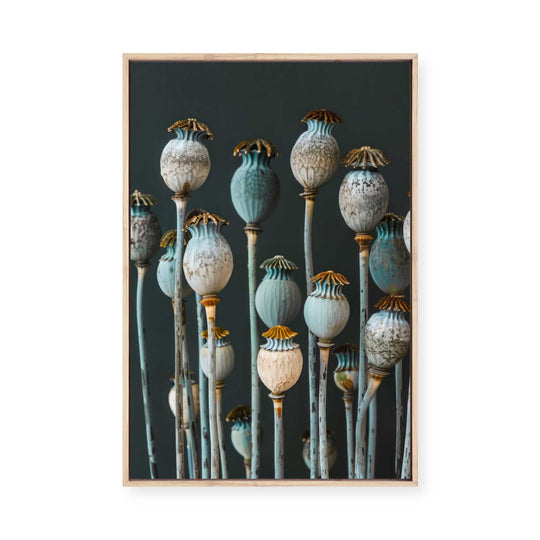 Cerulean Seed Pods | Framed Canvas