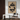 Contrasting Blooms II | Framed Canvas