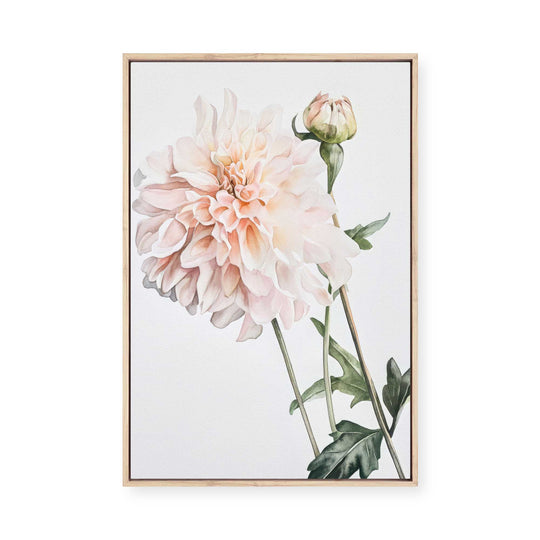 Dahlia | Framed Canvas