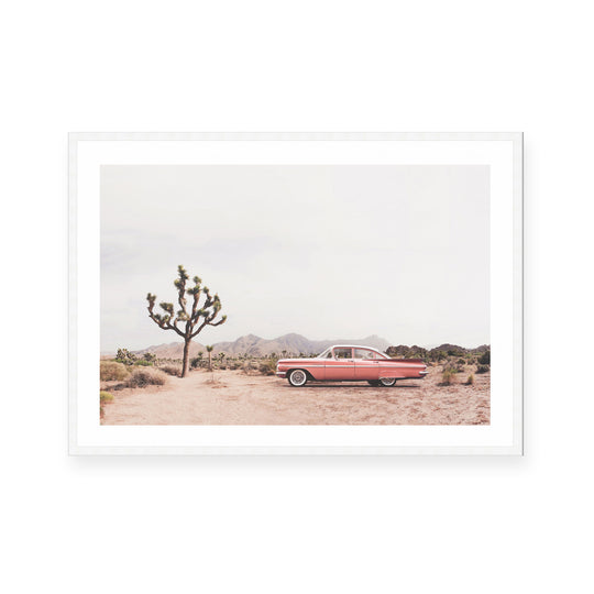 Desert Cadi