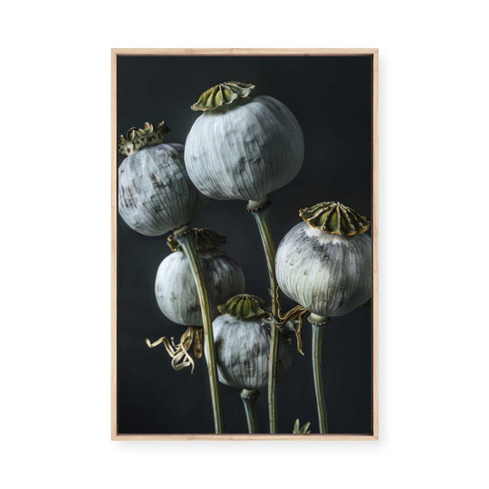 Ethereal Capsules | Framed Canvas