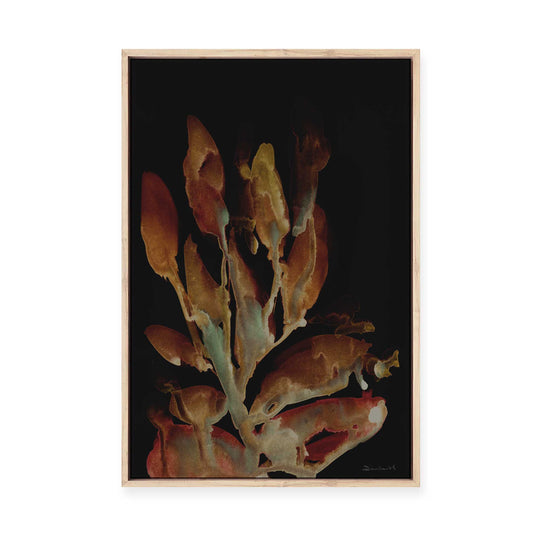 Midnight Coral | Framed Canvas