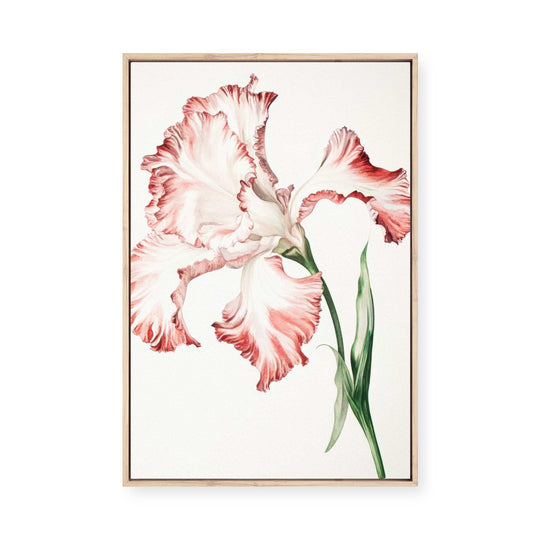 Petals in Bloom | Framed Canvas