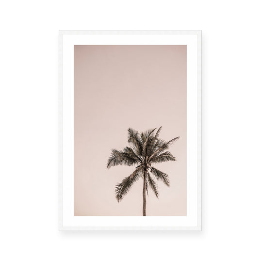 Pink Palm Sunrise