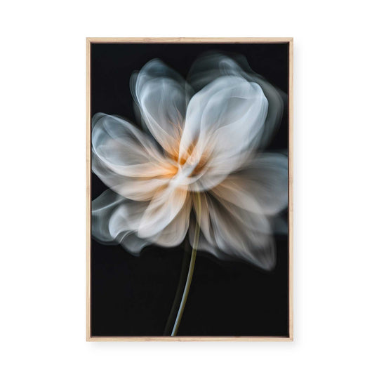 Whispering Petals I | Framed Canvas