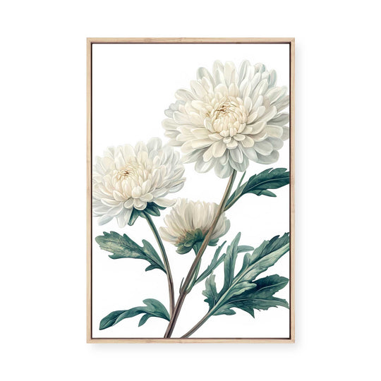 White Chrysanthemum | Framed Canvas