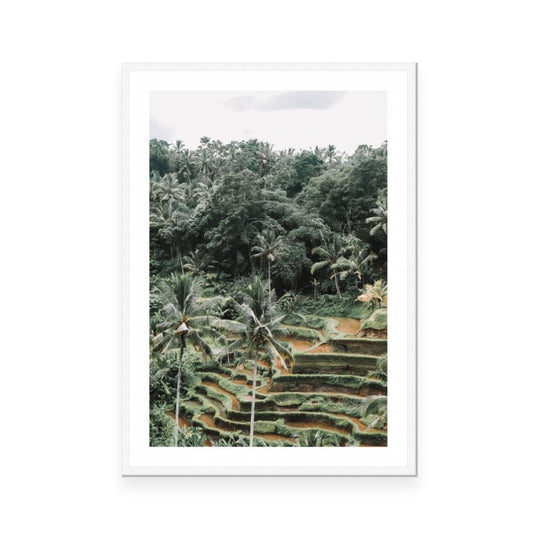 Bali 3 | Open Edition Art Print | Danielle Leigh