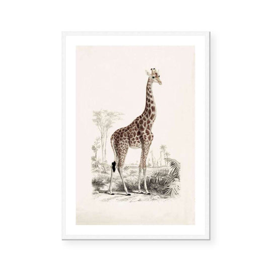 Botanic Antique | Giraffe