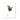 Deciduous I