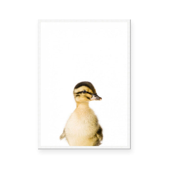 Duckling