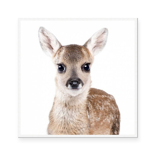 Fawn | Square