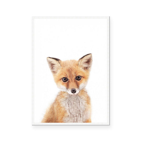 Fox | Portrait