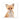 Fox | Square