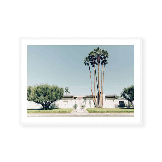 House 1100 | Landscape