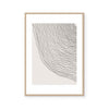 Imprint II