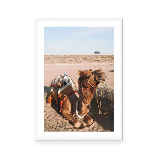 India 9 | Open Edition Art Print | Danielle Leigh