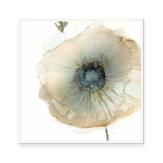 Iridescent Poppy II