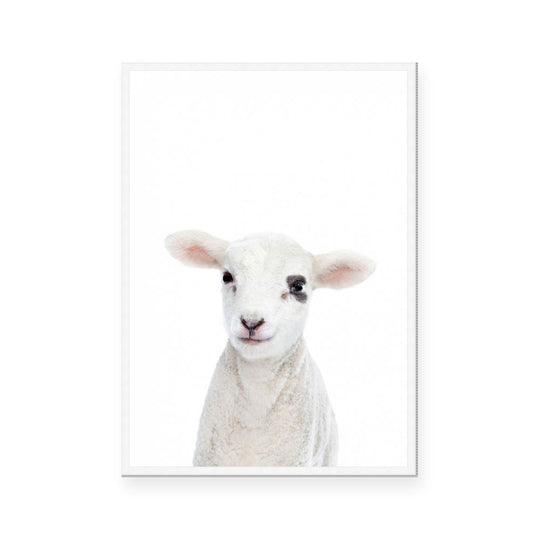 Lamb | Portrait