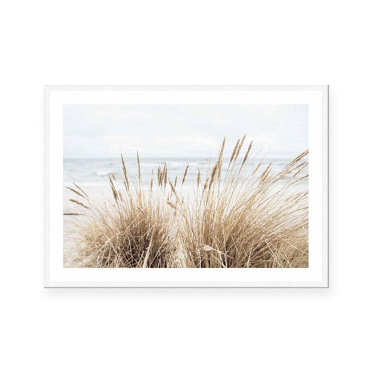 Marram | Landscape