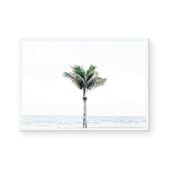 Peaceful Palms II