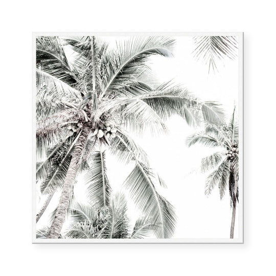 Radiant Light | Square