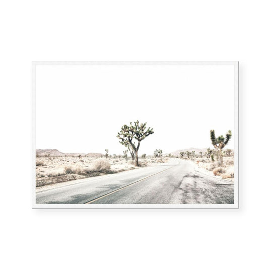 Road Through Joshua Tree