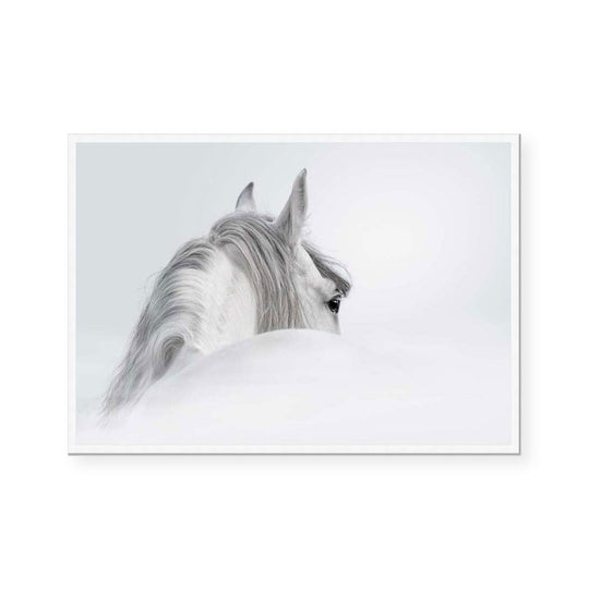 Silver Mare II